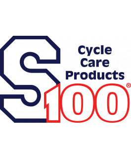 S100