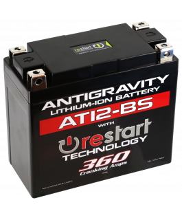 YT12-BS CASE FORMAT 360 CRANKING AMPS 12