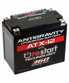 YTX12 CASE FORMAT 360 CRANKING AMPS,  12