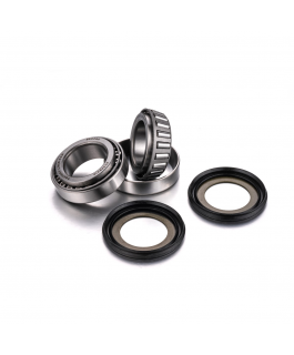 STEERING STEM BEARING KIT SUZUKI