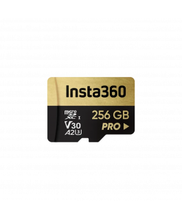 MEMORY CARD INSTA 256GB