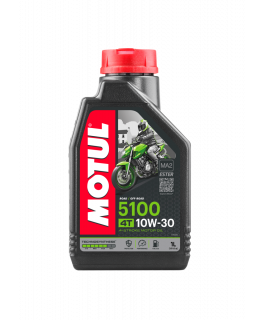 5100 ESTER 10W30 (1L)