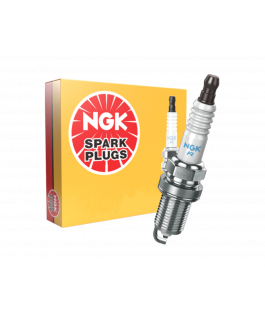 NGK SPARK PLUG AB6 (2910)