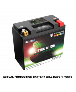 HVT20HQ-FP V-TWIN LI-ION BATTERY