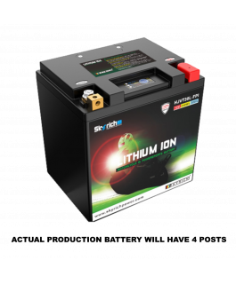 HVT30HQ-FP V-TWIN LI-ION BATTERY