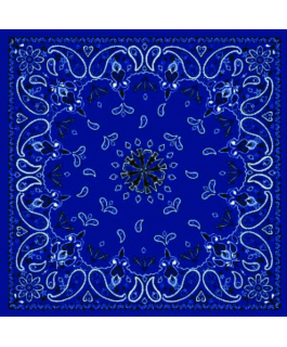 BANDANNA CASHEMIRE